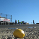Illustration for article titled Lemon Tossing at 24 Hours of LeMons